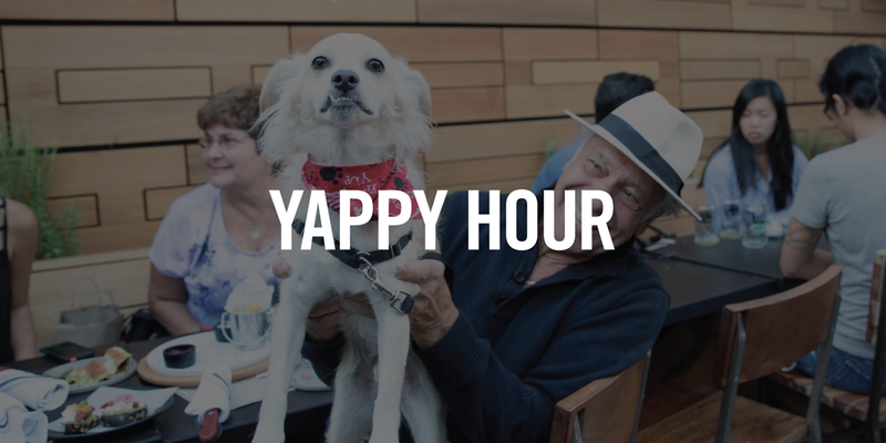 Yappy Hour