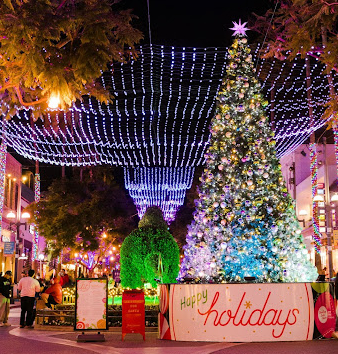 Winterlit Holiday Lights: Tree Lighting