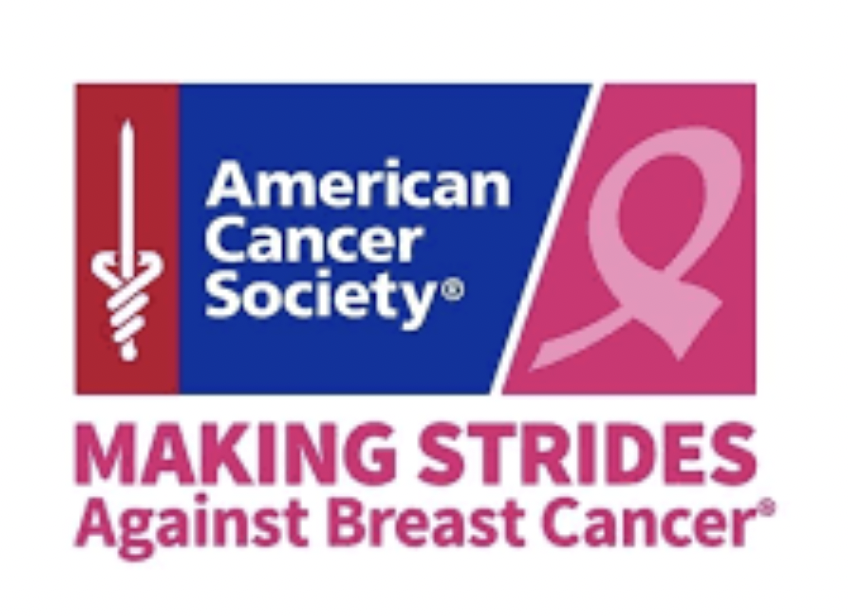 Making Strides Against Breast Cancer Santa Monica