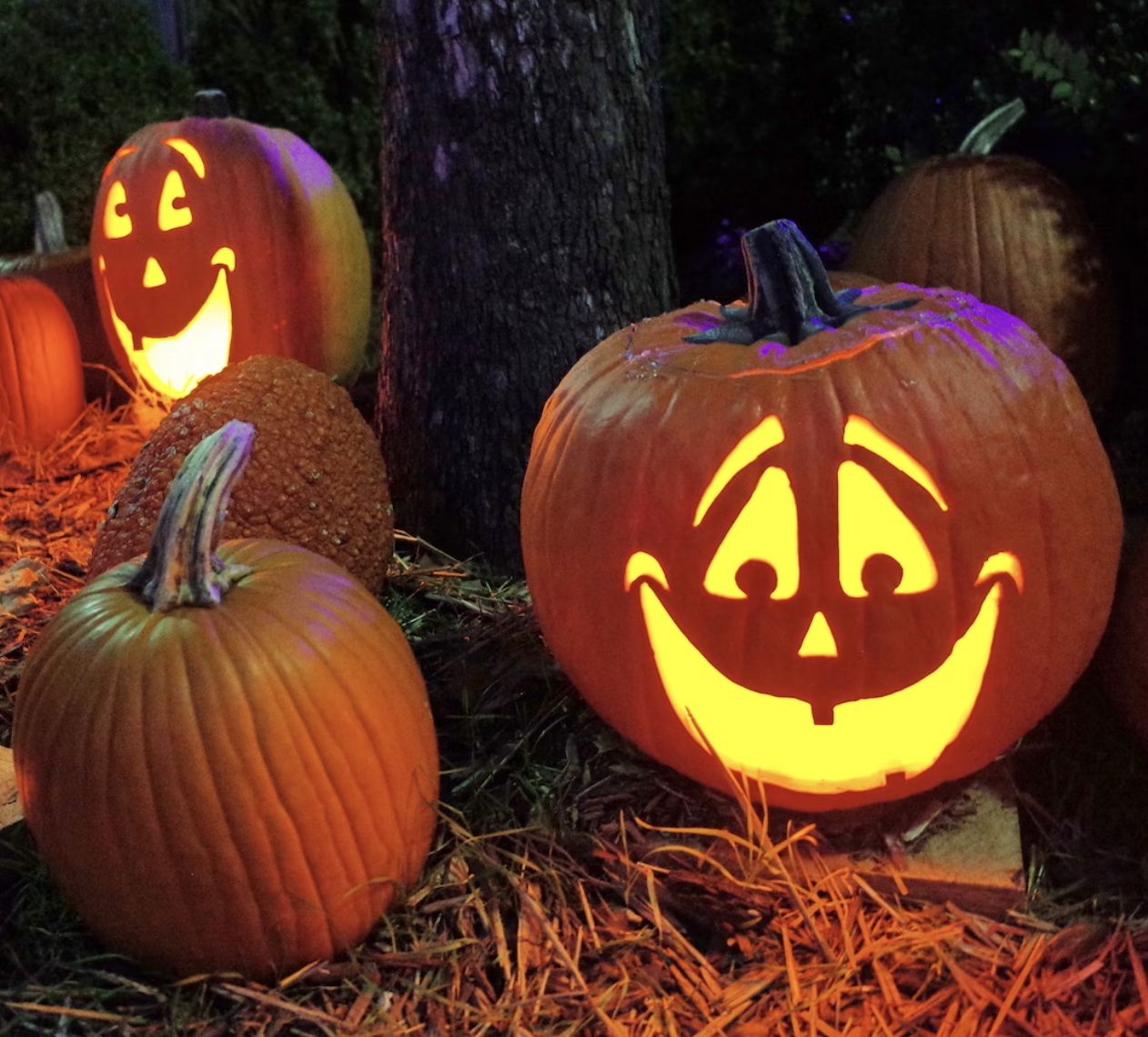 Halloween Hop on Montana Avenue