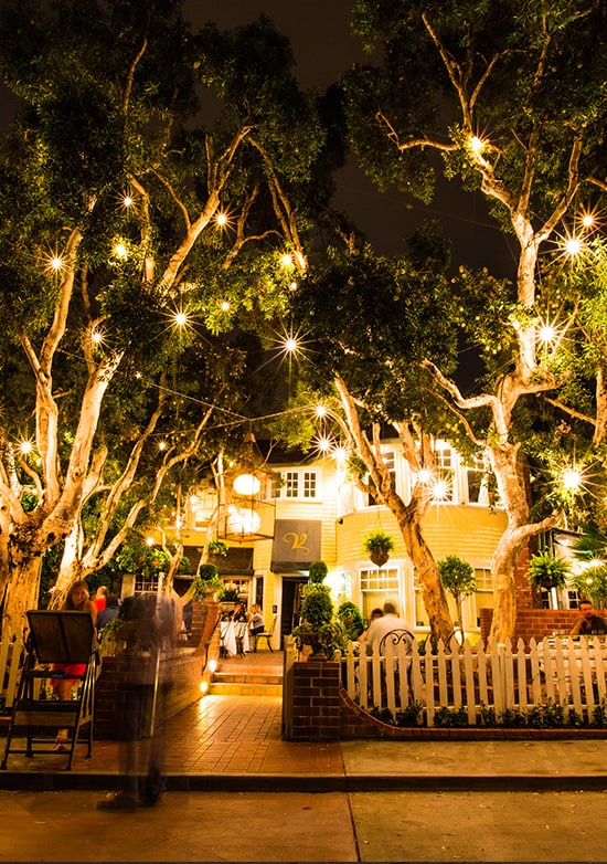 Picture of lights hanging from tree in the dark; The Victorian in Santa Monica