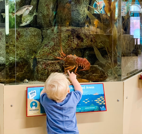 southern california events for kids