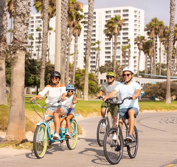 group of people riding bikes on santa monica beach trail