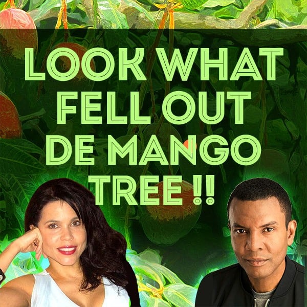 Look What Fell Out De Mango Tree – starring Debra Ehrhardt and Christopher Grossett, directed by Paul Williams – one day only!