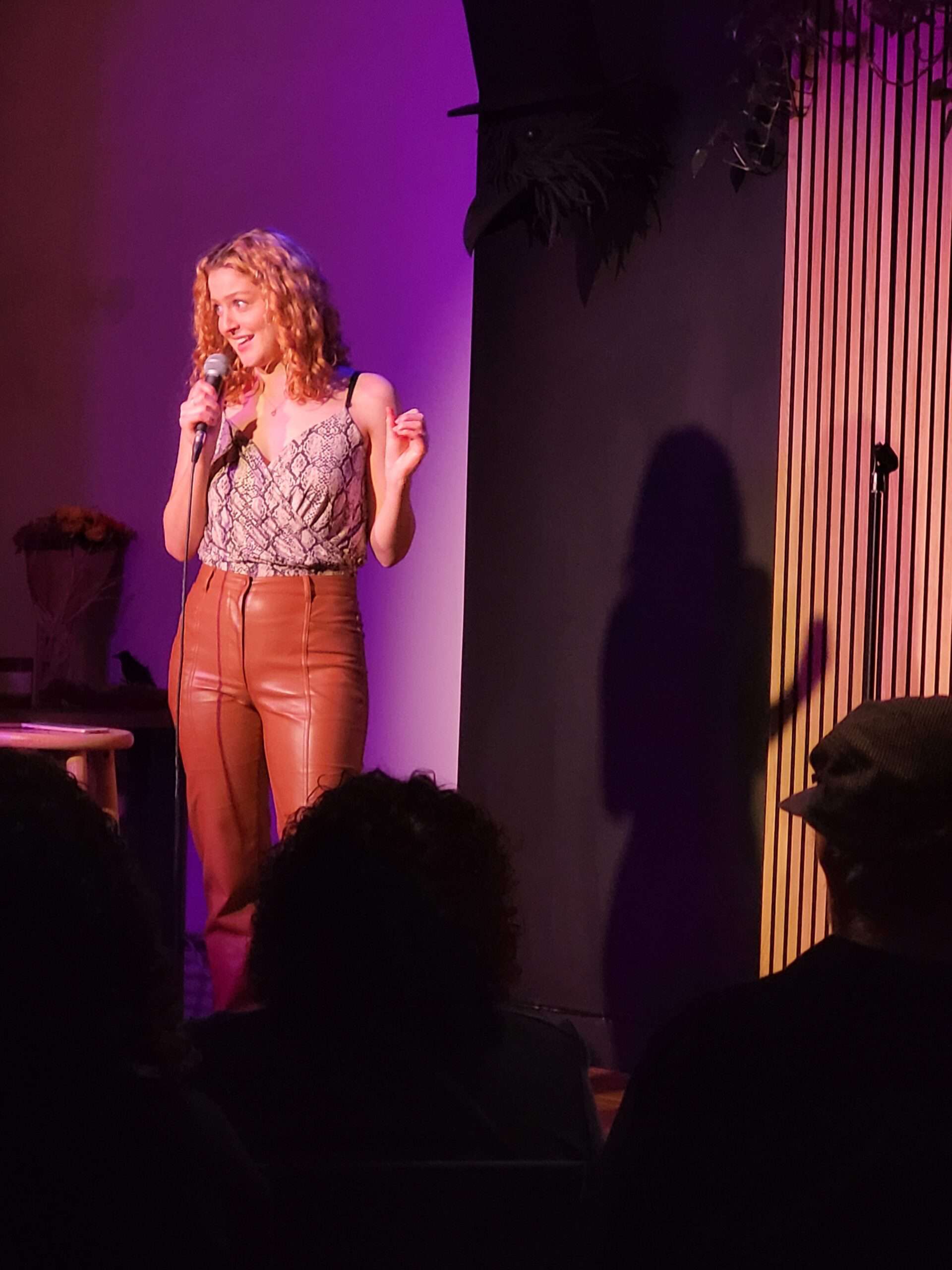 Batteries Included: A Stand Up Show