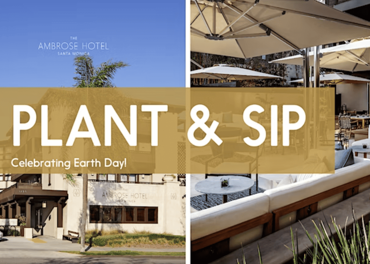 Plant & Sip at The Ambrose Hotel