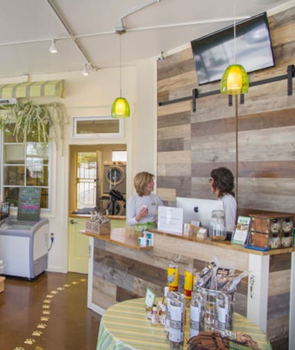 paws and effect pet spa santa monica