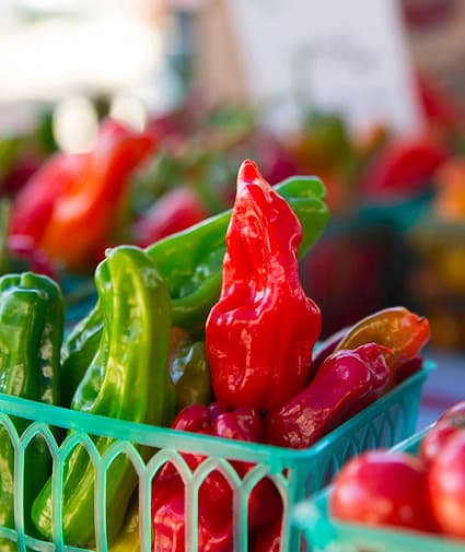santa monica farmers market