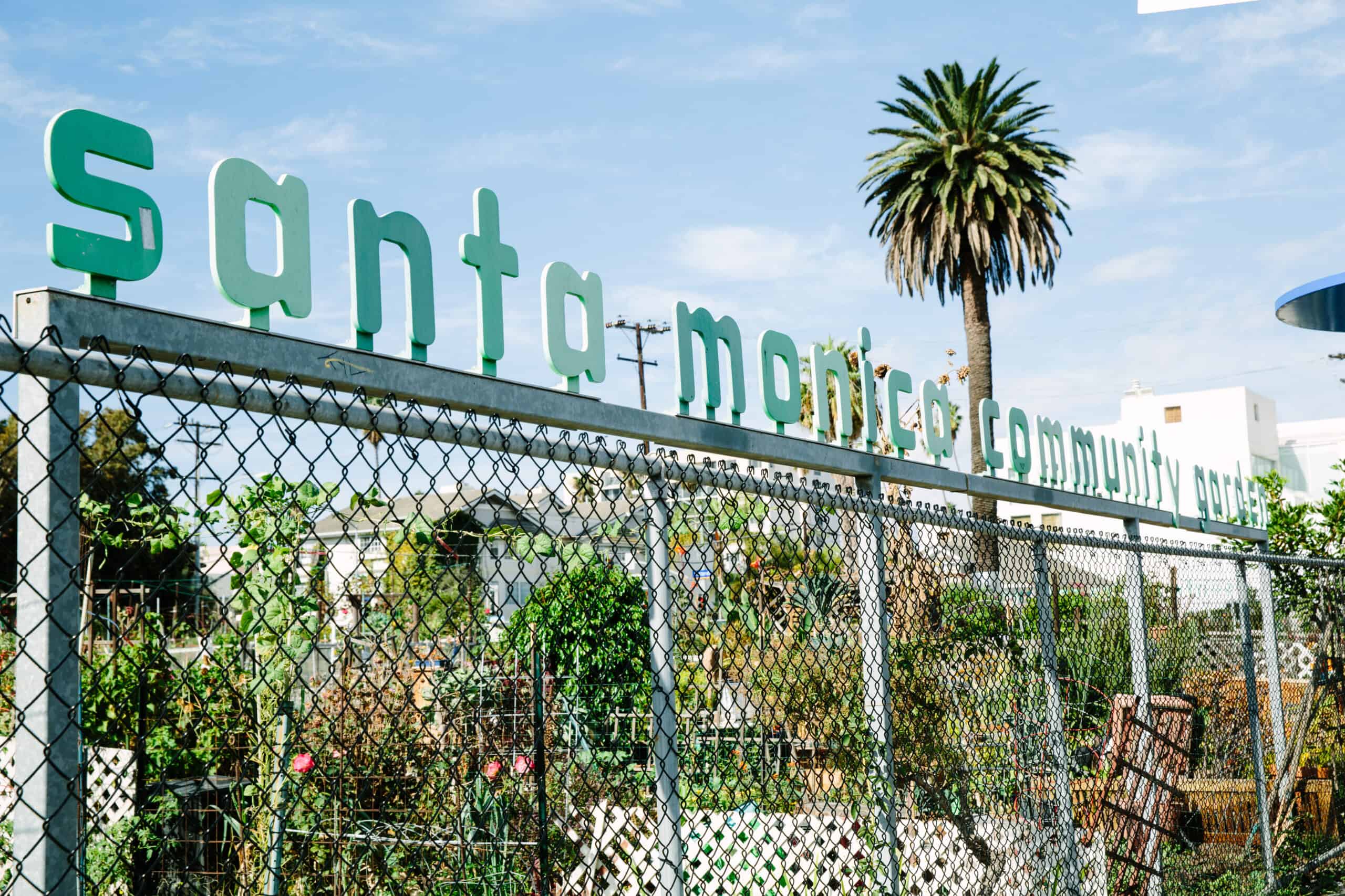 Main Street Community Garden