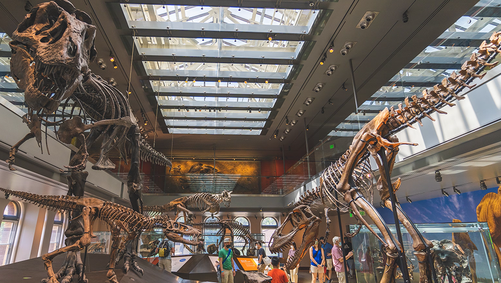 Itinerário da semana