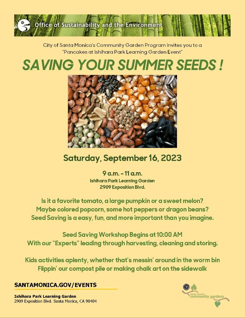 Saving Your Summer Seeds