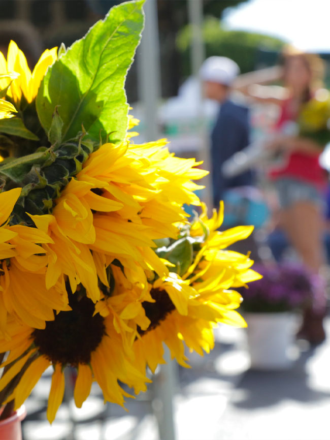 flowers at farmers market