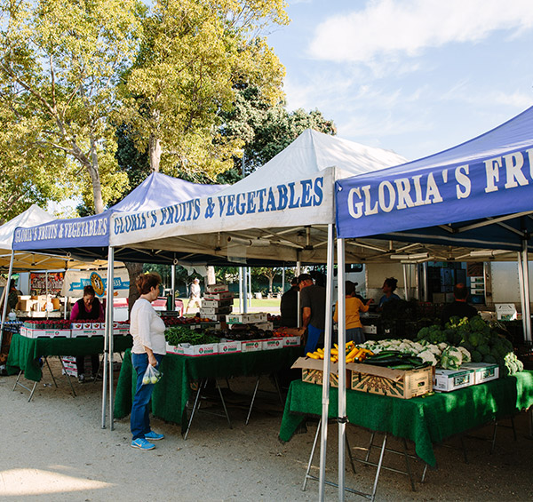 vegetables and fruit at santa monica farmers market