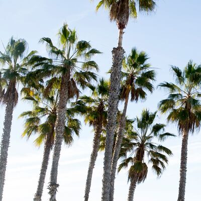 Soundwaves New Music Concert: Cathy Milliken with Daniel Rothman and Jeff Schwartz