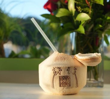 Drink in coconut with Kavahana logo