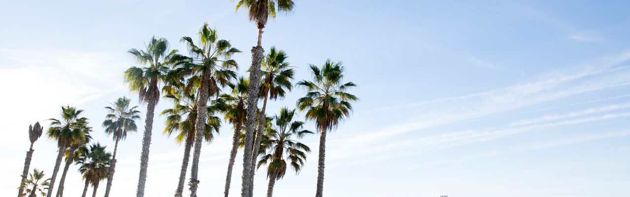 Soundwaves New Music Concert: The Isaura Quartet