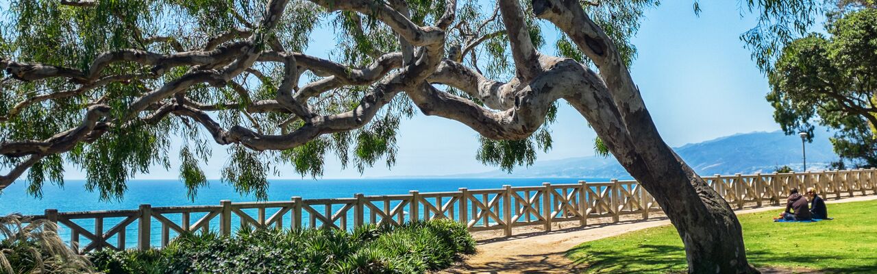 اصنع الموسيقى في لوس أنجلوس حفل موسيقي في حديقة باليسيدس بارك