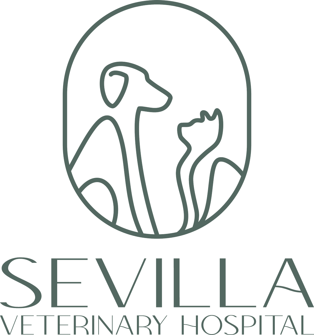 sevilla-veterinary-hospital-visit-santa-monica