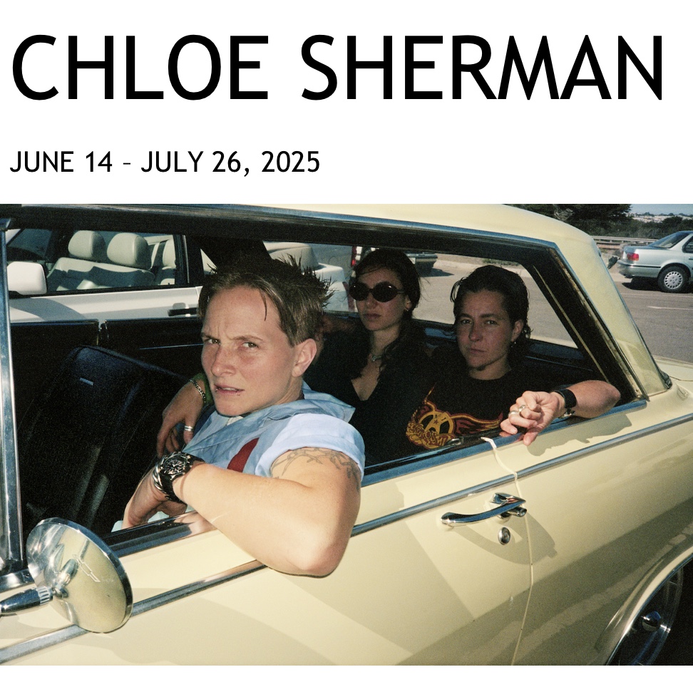 “冯-林特尔画廊的 ”克洛伊-谢尔曼 - 叛徒