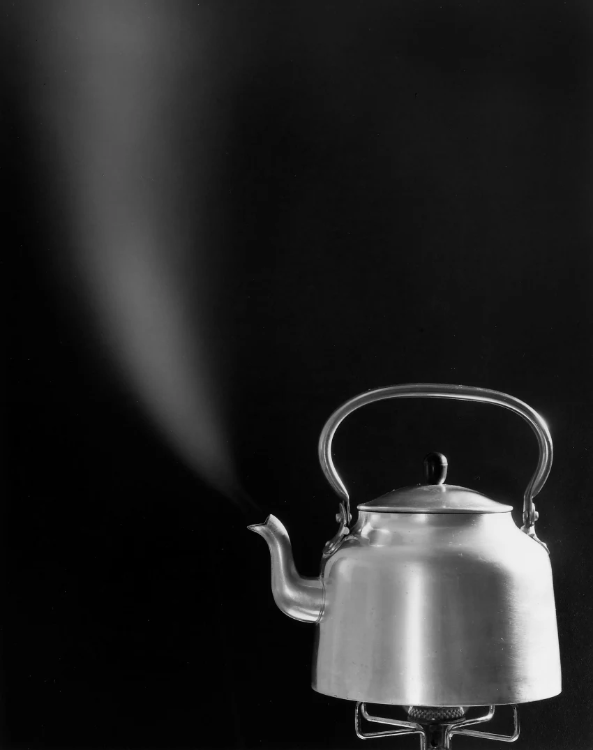 “Jo Ann Callis - Geschirrtrick” in der ROSEGALLERY